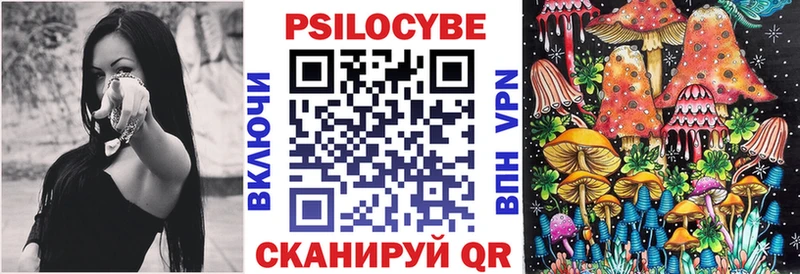 Купить закладки  Нерчинск  Псилоцибиновые грибы Psilocybine cubensis 